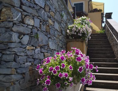 WhatsApp Image 2018-08-22 at 13.43.43