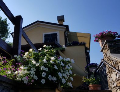 WhatsApp Image 2018-08-22 at 14.03.31 (1)