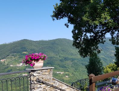 WhatsApp Image 2018-08-22 at 14.03.31