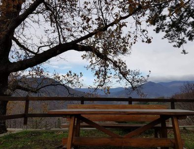 WhatsApp Image 2018-08-22 at 14.09.26 (1)