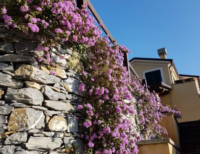 WhatsApp Image 2018-08-22 at 14.09.27 (1)